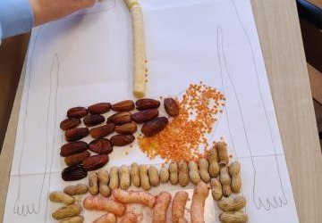 UKŁAD POKARMOWY W KLASIE SIÓDMEJ