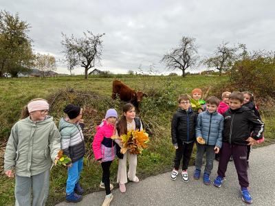 WhatsApp Image 2025-11-19 at 11.26.30.jpeg